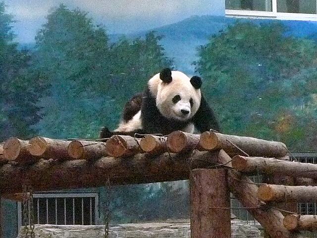 北京动物园研学课程